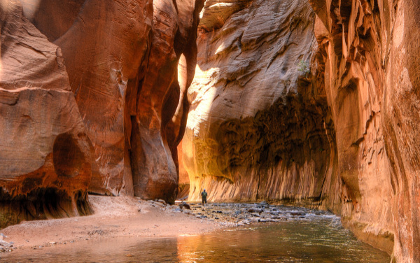 Narrows Zion National Park