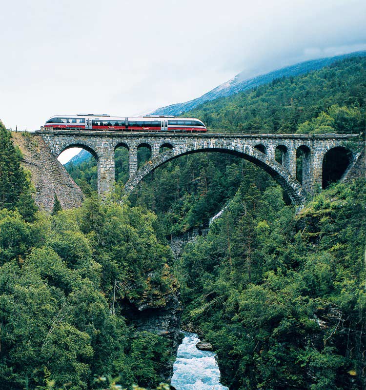 The Bergen Railway