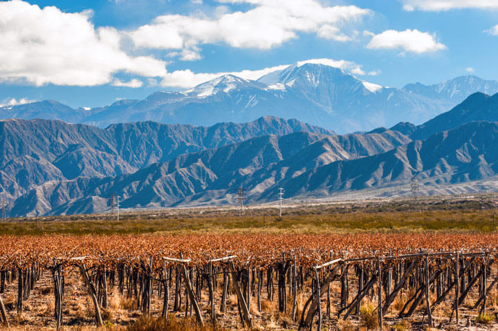 The wineries of Mendoza