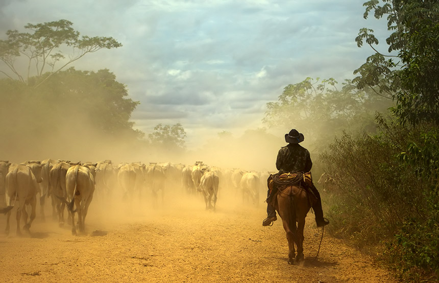 Pantanal, Brazil