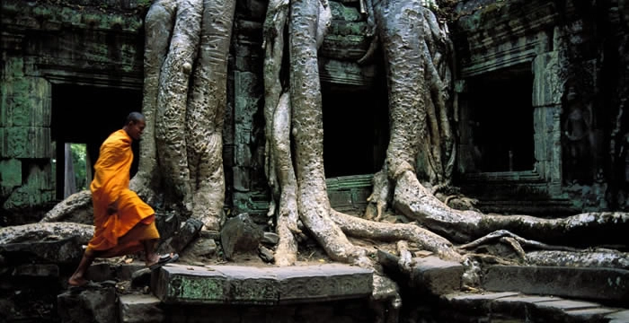 Holly, Cambodia