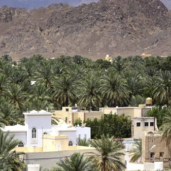 Lucy, Oman