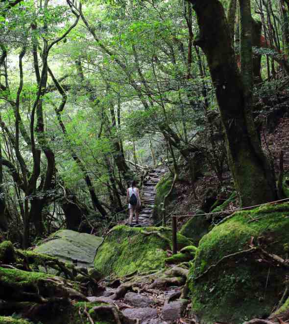 Our Eight Best Hikes in Japan