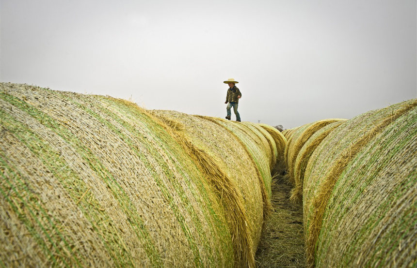 Adventure & Learning When Travelling: The Best Experiential Learning Opportunities for Families with Children