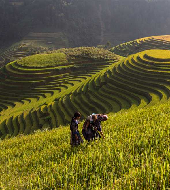 Slow Travel Aboard The Vietage