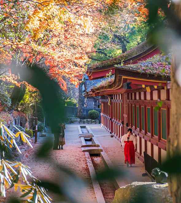 Best Temples in Japan