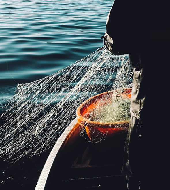 Traditional Norwegian Food 