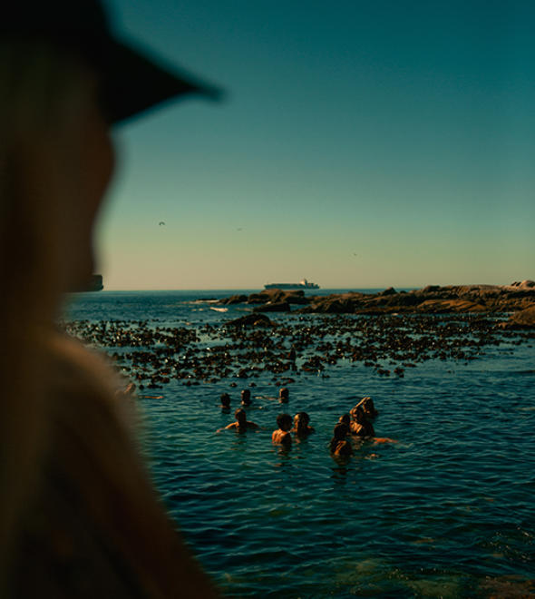 Top 5 Things to Do in Cape Town for Adventure Lovers