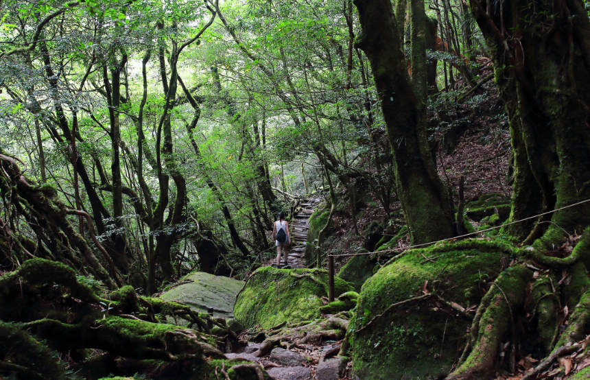 Our Eight Best Hikes in Japan