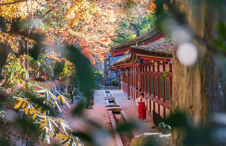 Best Temples in Japan