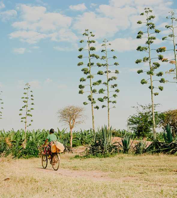 Regenerative Tourism Projects