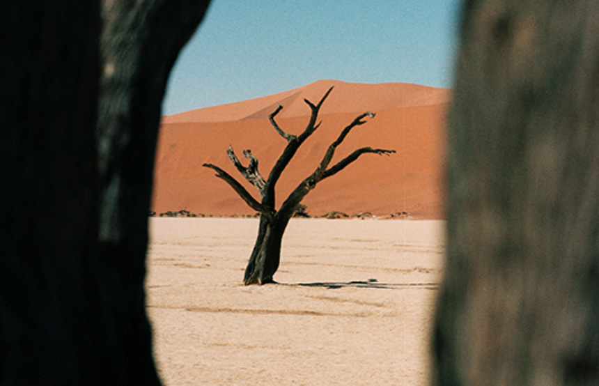 Just Back: Tom’s Research Trip to Namibia