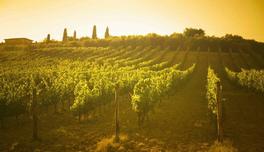 Tuscany: A Romantic Paradise To Render Every Jane Austen Novel Obsolete