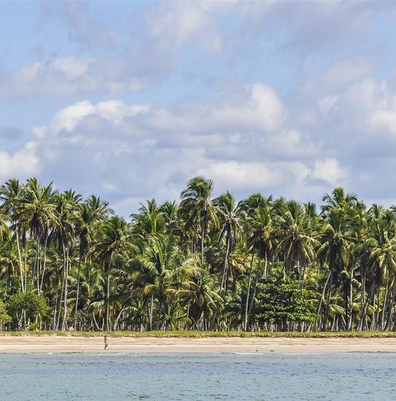 The Best Beaches in Salvador da Bahia
