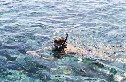 Best Snorkelling Destinations in the World