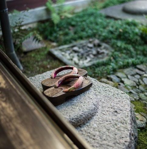 The Art of Sleeping in Japan