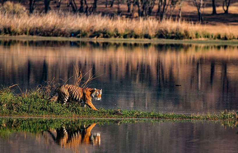 Things to do in Central India