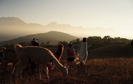 Let’s Go Boot-iquing