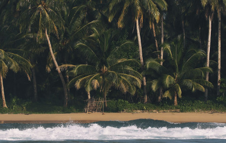 Meet Our Travel Heroes