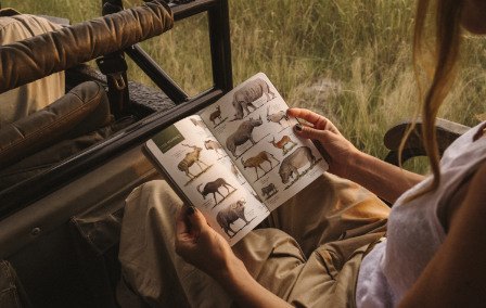 Our Expert Travel Hacks