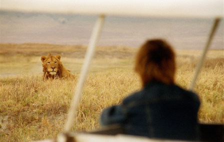 Research Report: Jamie’s Trip to Tanzania and Zanzibar