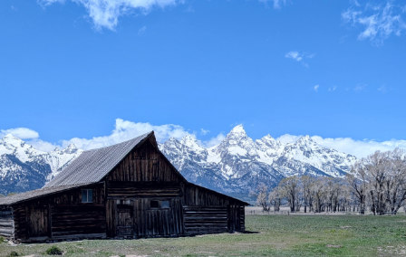 Research Report: Dave’s Trip to the Rockies and the American West