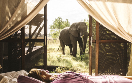 Secret Safaris: Alternative Safari Destinations