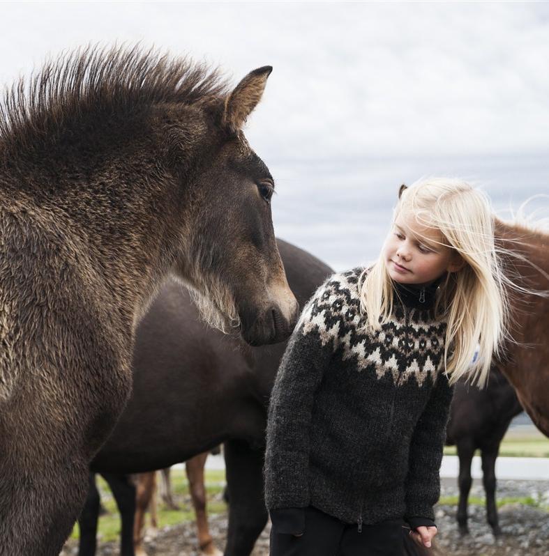 4 books to read before going to Iceland