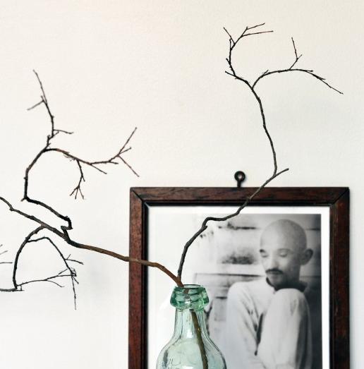 Mandela and Gandhi, Two South African Icons