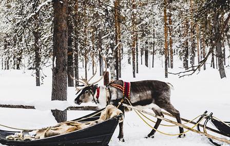 Practical information on Finnish Lapland