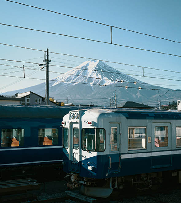 Japan vs South Korea