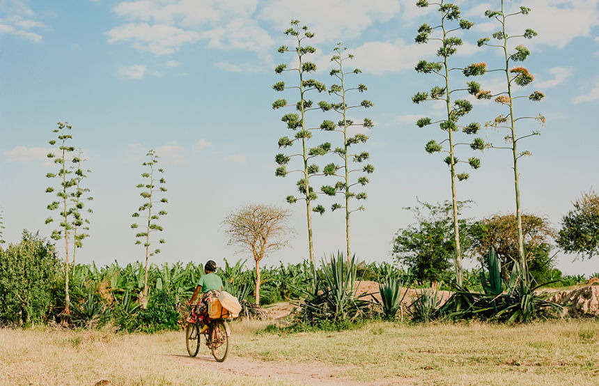 Regenerative Tourism in Practice: 20+ Stats and Projects to Restore Destinations