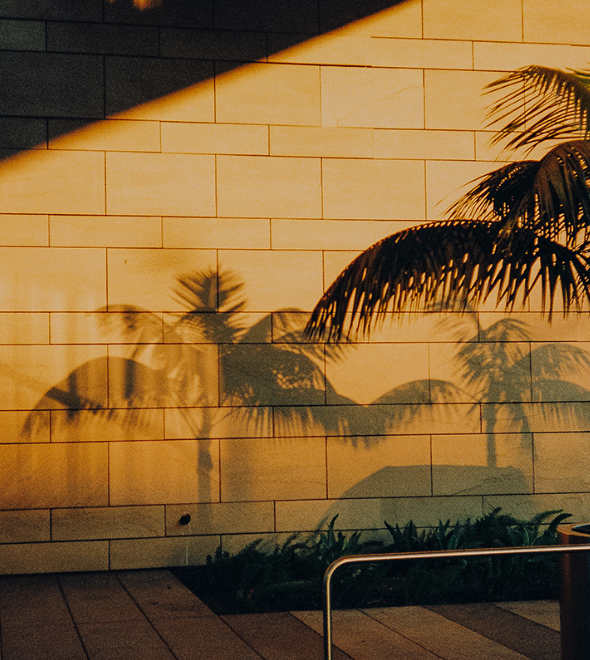 Where to Go in 2026?