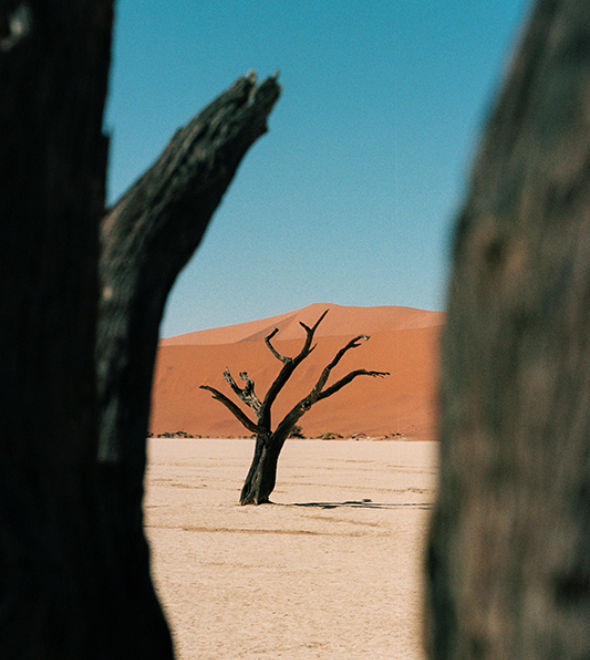 Just Back: Tom’s Research Trip to Namibia