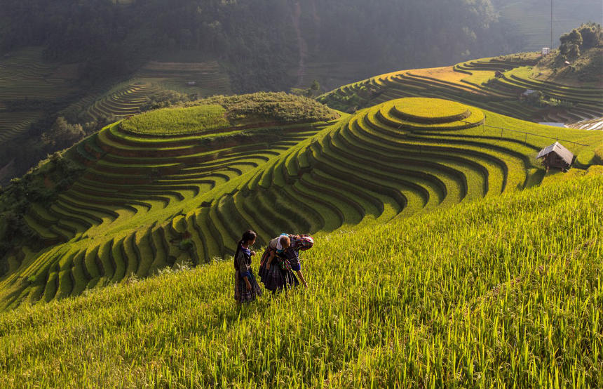 Slow Travel Aboard The Vietage