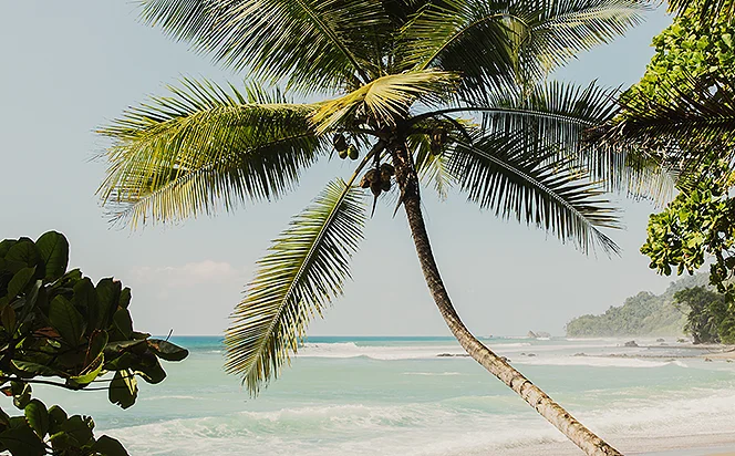 Where to go in June
