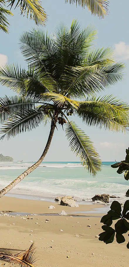 Where to go in June