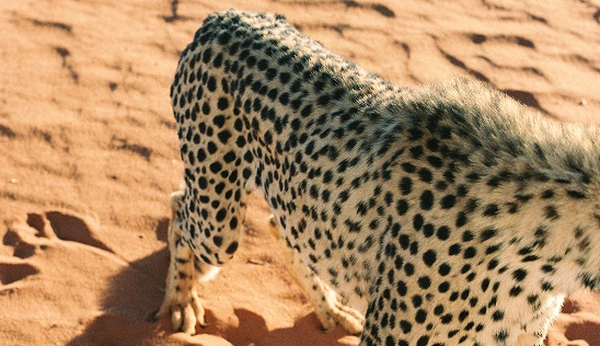 Namibia
