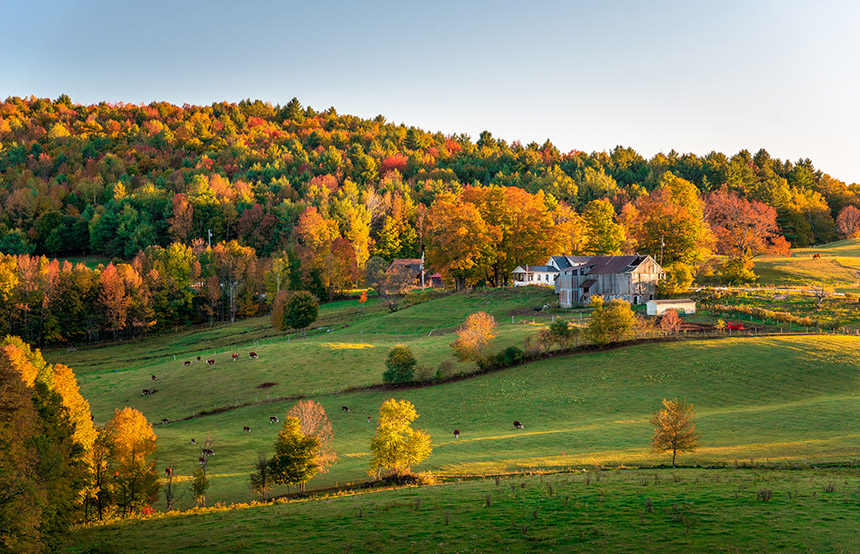 Vermont Country Stores - New England Fall Foliage