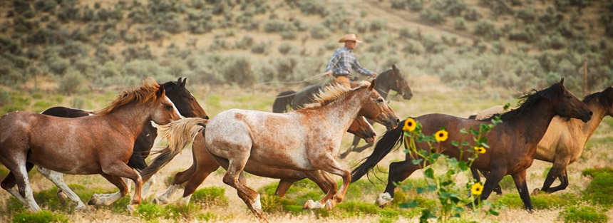 The Best Places In The World To Channel Your Inner Cowboy