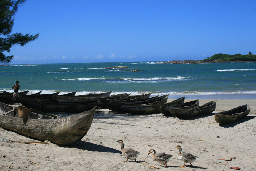 Discovering Magnificent Madagascar