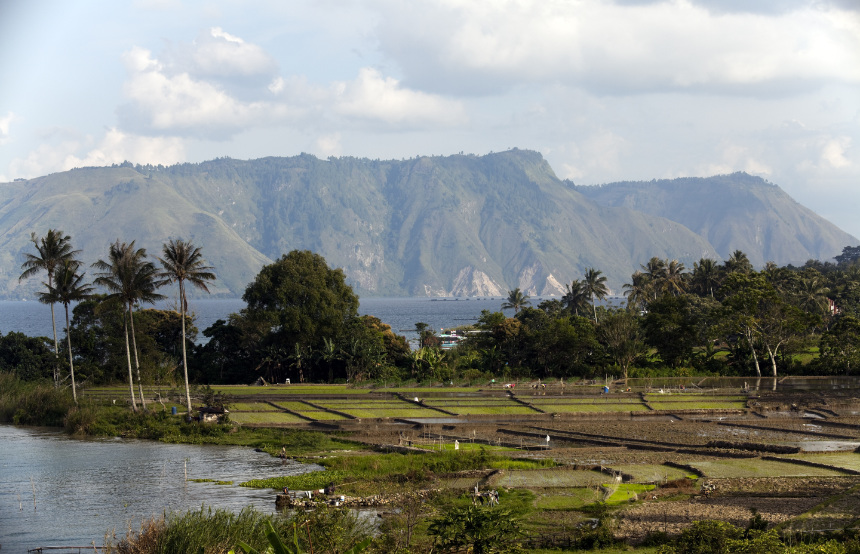 Sumatra - A Walk On The Wild Side