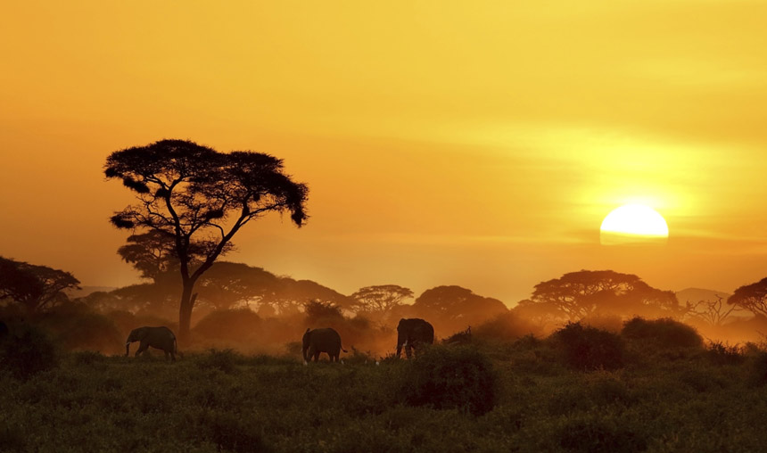 Is April the Best Time to go to Kenya?