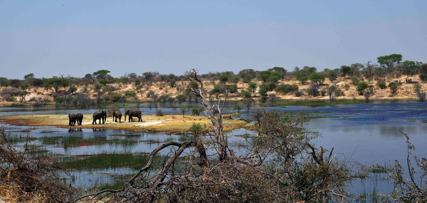 Authentic African Adventures