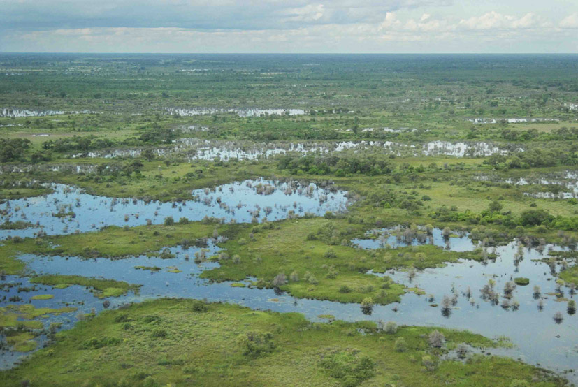 Botswana's Zu'Hoasi Tribe: an In-Depth Look