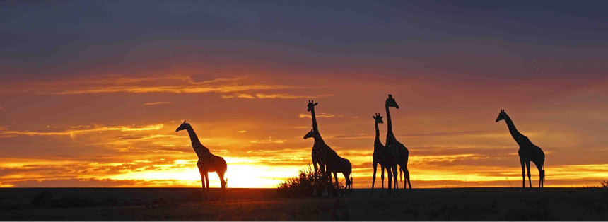 10 Reasons to Love Africa Holidays