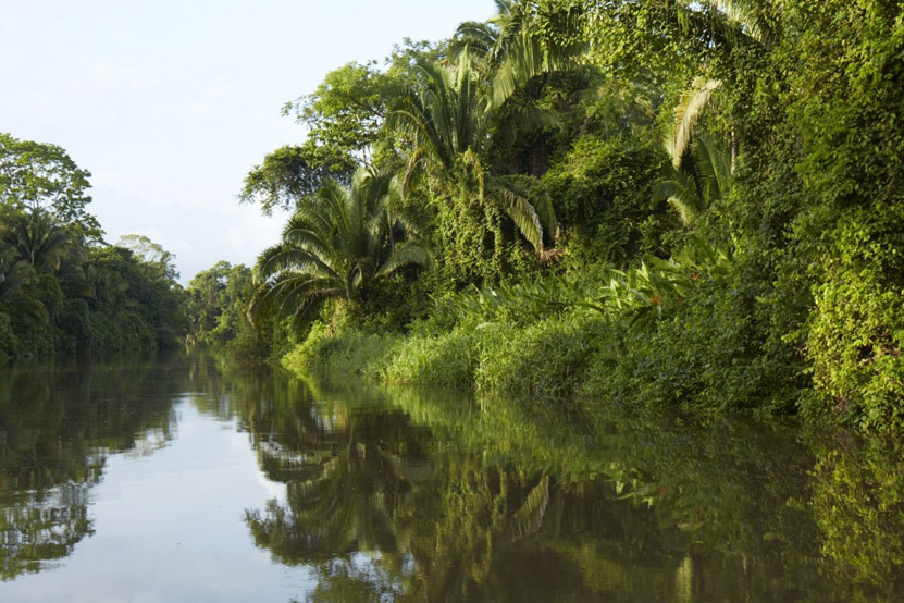 Luxury Hotels on The Belizean Coast