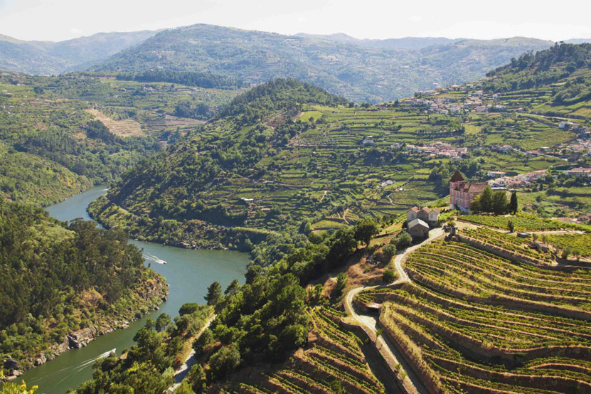 Douro River Cruises: A Royal Treat