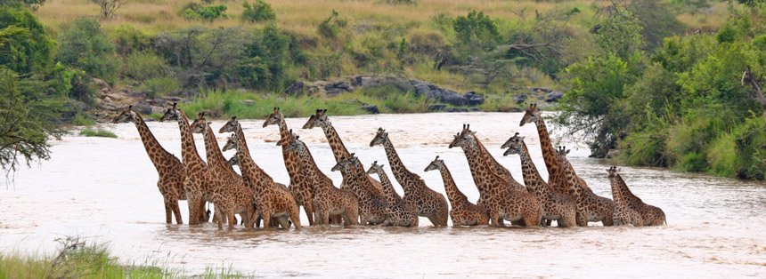 Richard's Camp, Kenya