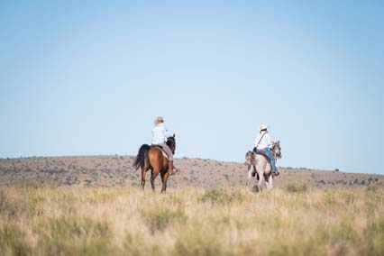 Saddle Up! Six of the Best Cowboy & Horseriding Experiences